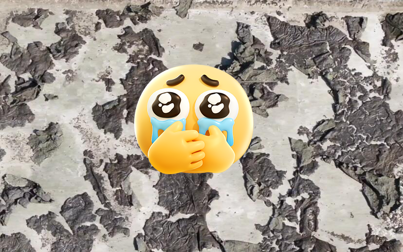 微信图片_20250610145933.png